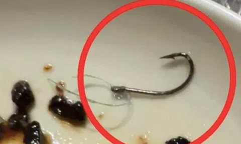 Gắp miếng cá, “trúng” lưỡi câu: Nhà hàng Michelin miễn hóa đơn 22 triệu, khách vẫn lạnh sống lưng