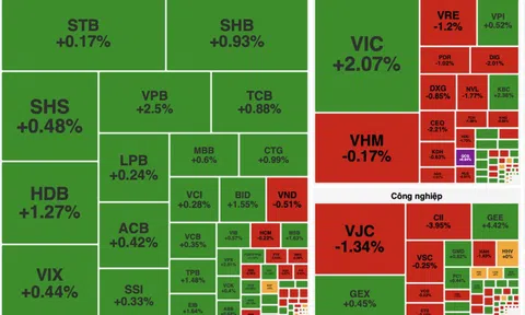 Cổ phiếu QCG, DGC tạo điểm nhấn trong phiên VN-Index tăng 12 điểm