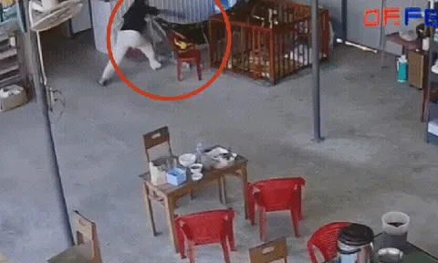 Clip 10 giây nổi da gà: Rắn vắt vẻo trên võng của con nhỏ, phản xạ của người mẹ gây sốc