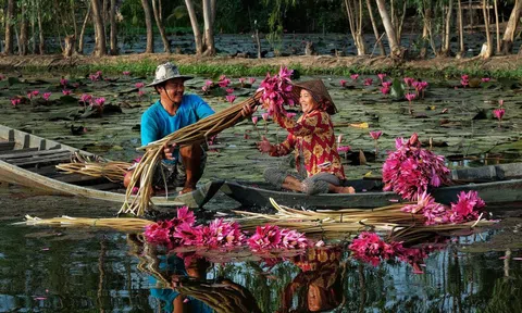 Du lịch Việt Nam: Cột mốc 20 triệu khách quốc tế và tầm vóc quốc gia