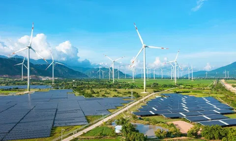 Trung Nam báo tin vui