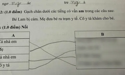 Xem bài tập tiếng Việt của con, bà mẹ Đà Nẵng bật cười: Nuôi hết cơm gạo, con tả mẹ như thế này đây!