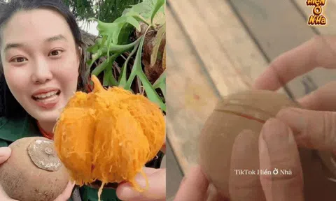 Cơn sốt quả lạ Chupa Chupa "vỏ dừa, ruột xoài, mùi hồng treo gió" đang khiến dân tình rần rần săn lùng