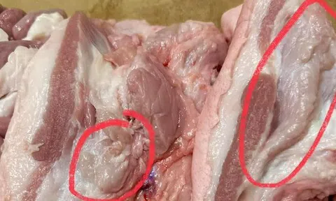 5 dấu hiệu nhận biết thịt lợn bệnh, người bán nói mấy mấy cũng dứt khoát quay xe