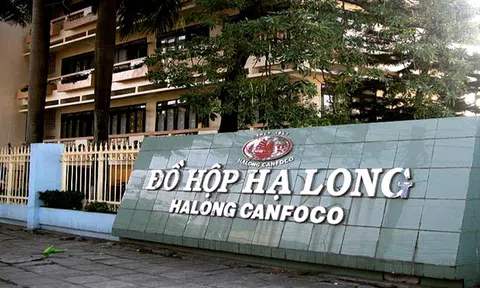 Loạt doanh nghiệp lên tiếng vụ 120 tấn thịt tả lợn châu Phi tại công ty Đồ hộp Hạ Long