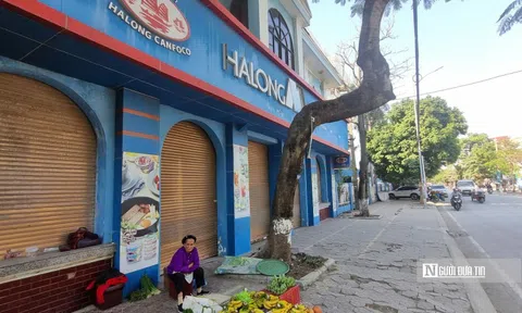 Vụ 120 tấn thịt lợn bệnh: Người dân tới đổi trả sản phẩm của Đồ hộp Hạ Long, cửa hàng đóng cửa