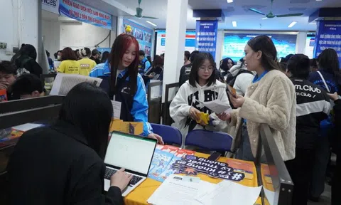 1,4 triệu thanh niên không đi học, không đi làm: Thực trạng người trẻ khó khăn trong tìm kiếm công việc