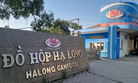 Quảng Ninh yêu cầu bảo vệ thương hiệu "Hạ Long" sau vụ 120 tấn thịt lợn bệnh