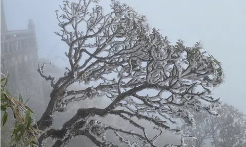 Miền Bắc đón không khí lạnh cực mạnh, dự báo rét buốt đến khi nào?