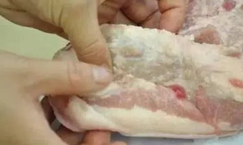 4 bộ phận "bẩn nhất" của con lợn, không nên mua về ăn