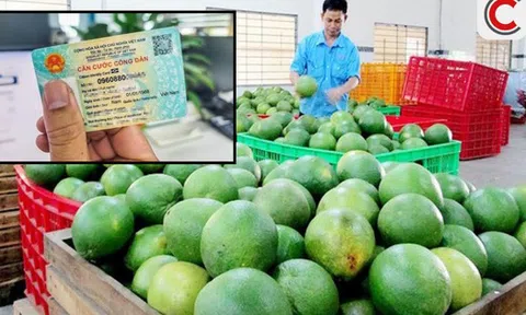 Cục Thuế nói rõ việc yêu cầu người bán hàng phải cung cấp CCCD để kê khai