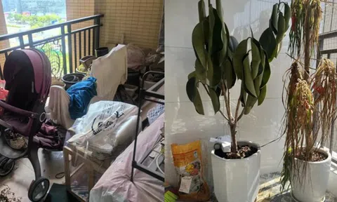 Người giàu không bao giờ đặt 5 thứ này ở ban công, người nghèo lại vô tư chất đống