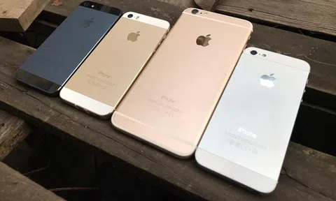 Đấu giá gần 5.000 iPhone, Oppo và Honor giá chỉ 800.000 đồng/chiếc