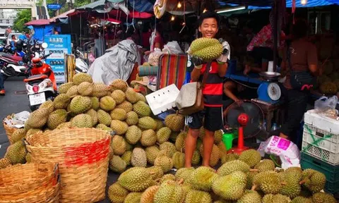 Truyền thông Thái Lan: Trong 3 năm tới, Việt Nam sẽ vượt Thái Lan ở lĩnh vực tỷ đô