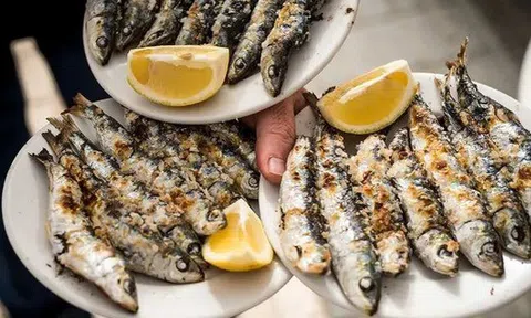 Loài cá được khen "tốt nhất thế giới": Chợ Việt bán chỉ 30.000đ/kg, quanh năm sẵn hàng