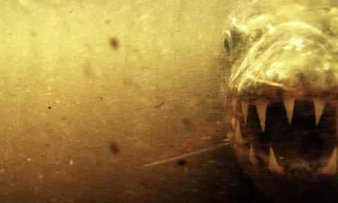 Loài cá nước ngọt là sát thủ khiến “chúa tể đầm lầy” cũng sợ bị xơi tái, chỉ cần thoáng thấy đã né từ xa