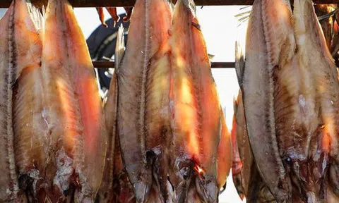 Ăn cá sai cách có thể "phá thận"? Bác sĩ cảnh báo: 3 loại này nên ăn ít