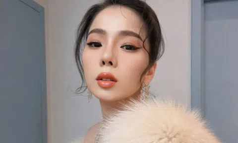 Ca sĩ Lệ Quyên lên tiếng phân trần sau loạt bình luận thô tục