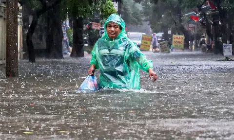 Dự báo tình hình rét đậm, rét hại và mưa bão trong 6 tháng đầu năm 2026