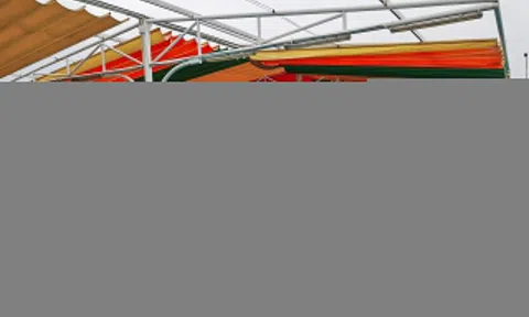 Hãng taxi của ông Phạm Nhật Vượng tăng vốn lên 35.500 tỷ