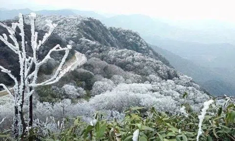 Dự báo thời tiết 14/1: Không khí lạnh tiếp tục bao phủ miền Bắc, trời rét đậm