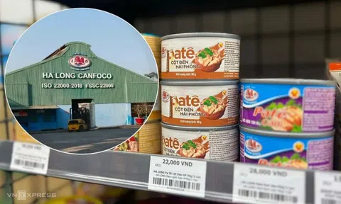 Vụ heo bệnh ở Công ty đồ hộp Hạ Long: Hàng loạt kho hàng có chứa thịt nhiễm dịch tả heo châu Phi và vi khuẩn Salmonella