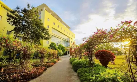 Danh sách 13 đại học ở Việt Nam mới nhất năm 2026