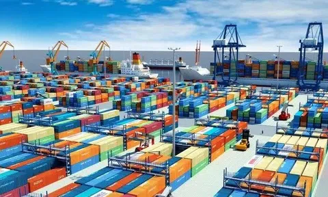 Kim ngạch thương mại Việt Nam - Ấn Độ đạt mốc lịch sử gần 16,46 tỷ USD