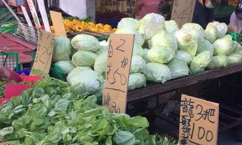 5 dấu hiệu nhận biết rau cải chứa Formaldehyde, người thông thái không bao giờ mua