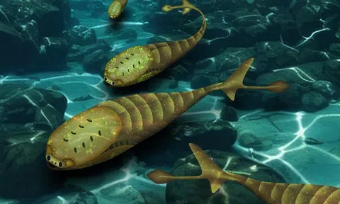 Một điều khủng khiếp đã giúp loài cá đột ngột có mặt trên Trái Đất