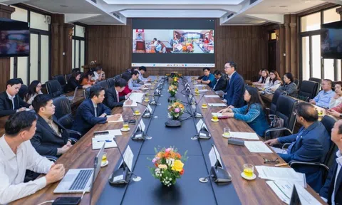 Hợp tác thúc đẩy quản lý thuốc BVTV bền vững