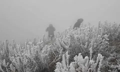 Miền Bắc đón "tin vui" thời tiết trước khi đợt không khí lạnh cường độ rất mạnh về rét buốt