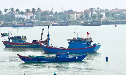 Quảng Trị tăng cường tuần tra, tập trung cao điểm chống khai thác IUU