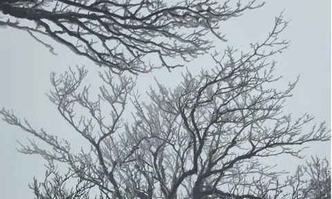 Miền Bắc đón đợt gió mùa Đông Bắc cường độ mạnh khiến "rét chồng rét"