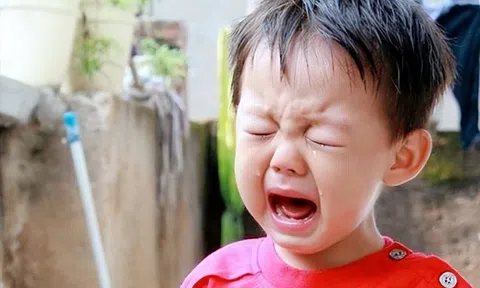 Nghiên cứu suốt 40 năm: Đứa trẻ càng hay cãi cha mẹ sau này càng có tố chất làm triệu phú!