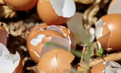 Rải thứ này ra vườn mùa đông, sâu hại tránh xa, cây trồng tươi tốt chưa từng thấy