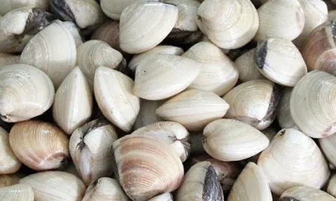 Hộ kinh doanh ngao thắc mắc, trường hợp nào chịu thuế GTGT khi vừa tự nuôi, vừa mua lại để bán? Cục Thuế trả lời