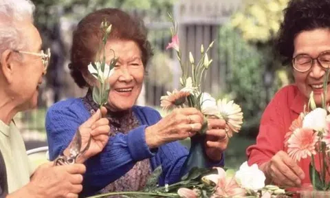 Sau nghỉ hưu, cả tin khi tham gia các nhóm người cao tuổi: Cái giá phải trả không hề nhỏ