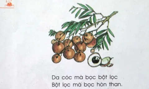 Câu đố tiếng Việt "Đây là quả gì?" trong sách giáo khoa lớp 1 cũ khiến 80% người lớn vò đầu bứt tai