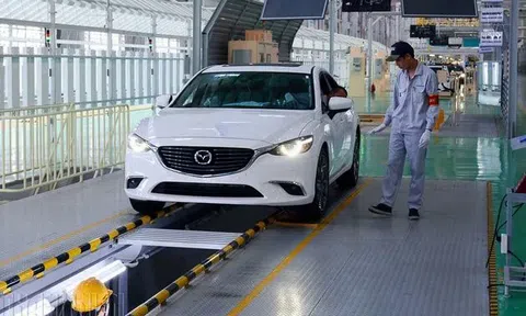 Chưa áp giá dịch vụ đăng kiểm mới từ ngày 20/1