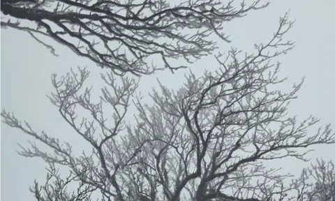 Miền Bắc rét đậm khi đón đợt không khí lạnh cường độ mạnh trên diện rộng