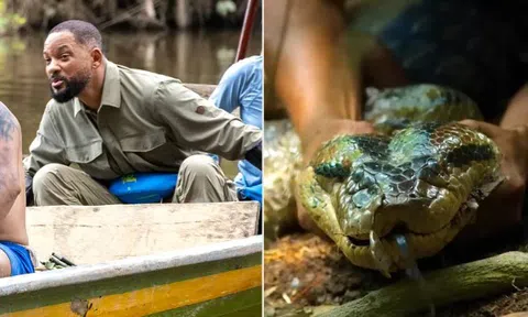 Will Smith chạm trán nghẹt thở với loài rắn khổng lồ mới ở Amazon: Dài tới 5m, cơ thể dày ngang thân cây