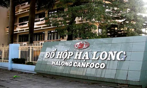 Loạt doanh nghiệp lên tiếng vụ 120 tấn thịt tả lợn châu Phi tại công ty Đồ hộp Hạ Long