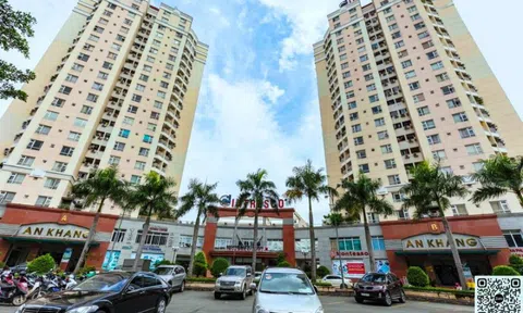 Intresco chi 100 tỷ đồng thâu tóm Nhà Nam Á