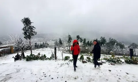 Miền Bắc sắp đón đợt gió mùa Đông Bắc cường độ mạnh, trời rét đậm