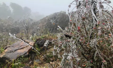 Dự báo thời tiết 19/1: Không khí lạnh mạnh tăng cường, miền Bắc rét đậm dưới 6 độ