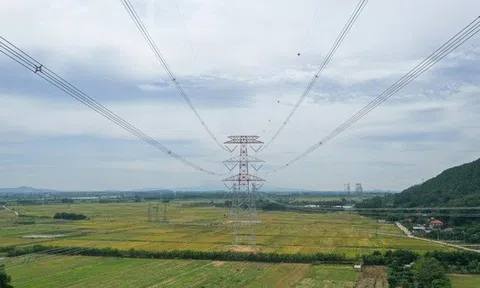 Kinh tế nhà nước và mệnh lệnh đổi mới