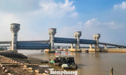 Thanh Hóa thúc đẩy đưa công trình cầu cống thủy lợi 'khủng' vào vận hành trước Tết