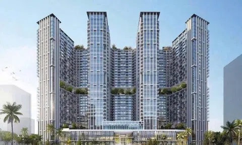 MIK Group mua lại dự án trên 'đất vàng' Hạ Long từ BIM Group