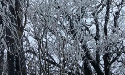 Dự báo thời tiết 21/1: Miền Bắc đón không khí lạnh tăng cường cực mạnh, có nơi dưới 6 độ C